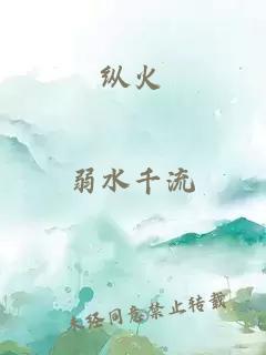 纵火