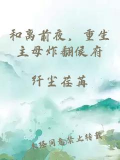 和离前夜，重生主母炸翻侯府
