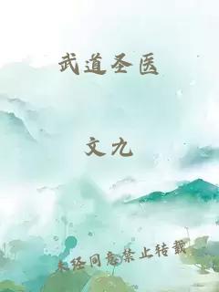 武道圣医